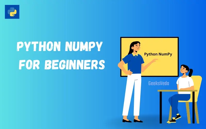 Python NumPy Function