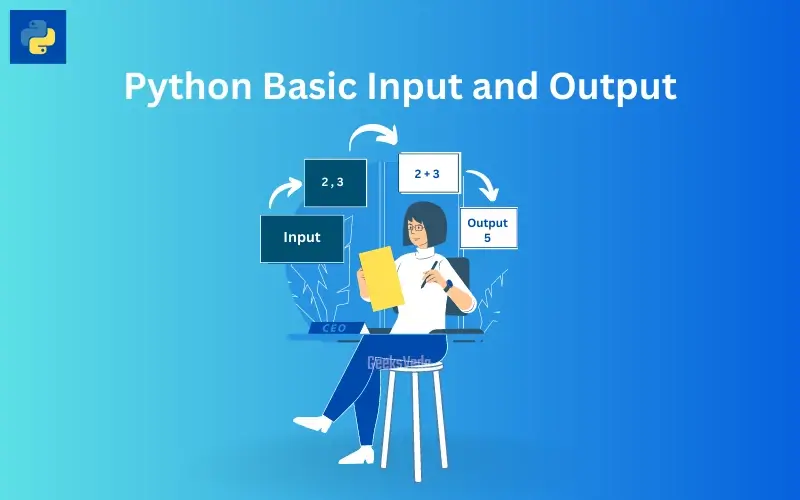 Python Basic Input and Output